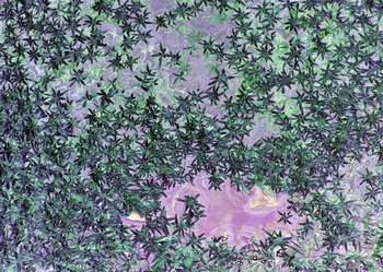 N 022B
